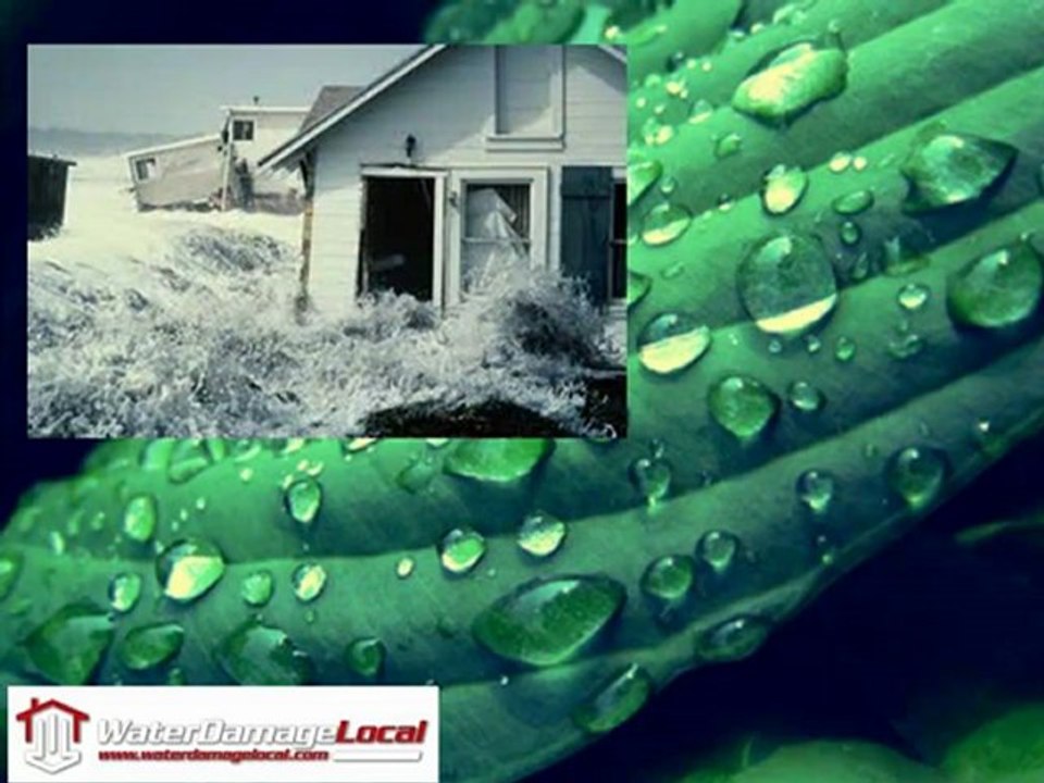 Naperville Water Damage