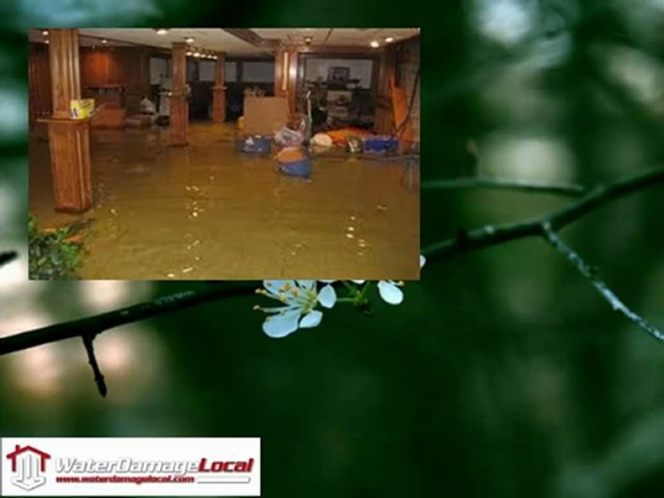 Schaumburg Water Damage Company