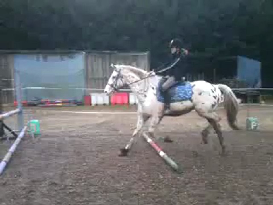 Petit aigle et moi