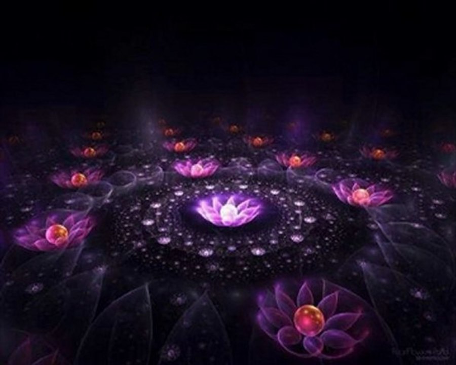 Darpan -  Reconnected