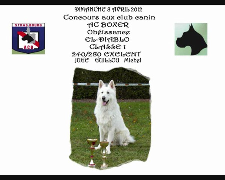 Concours obeissance  8.04.2012  AC BOXER  CLASSE 1