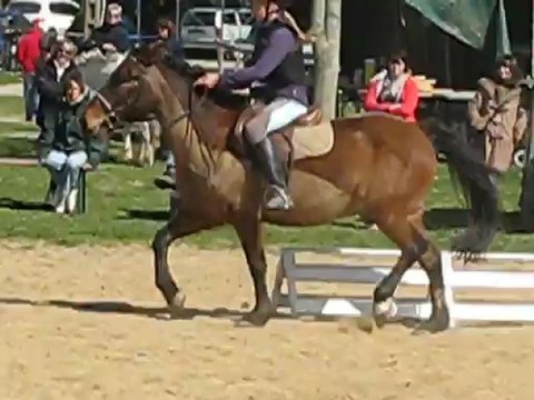 Camille-LeVerdo concours de dressage au club