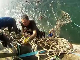 Les CotCots Frappadingue CIBOURE 01-04-2012