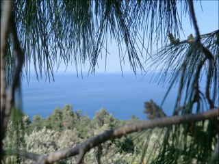 ΑΝ ΘΑ ΜΠΟΡΟΥΣA ΤΟΝ ΚΟΣΜΟ ΝΑ ΑΛΛΑΖΑ (ελληνικά / γαλλικά) / AN THA BOROUSA TON KOSMO NA ALLAZA (grec / français)