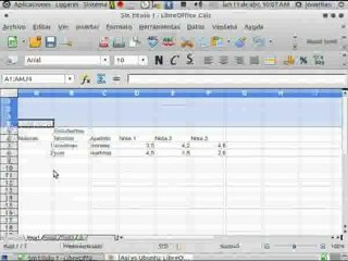 Videotutorial LibreOffice Calc 1