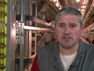 EU law leads to rise in price of French eggs