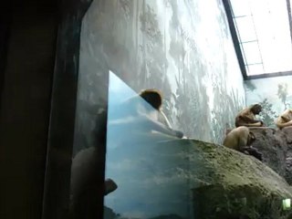 summer 2010 006