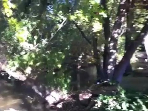 Boise Real Estate - Luxury Home Foreclosure