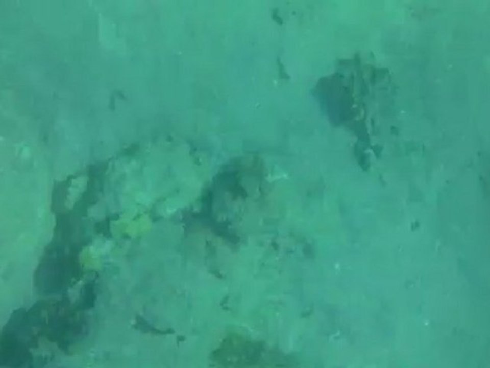 Sous l'eau avec Erwan (3)