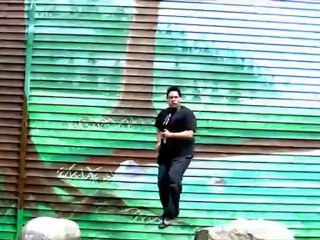 nothingilistic - im steven seagal