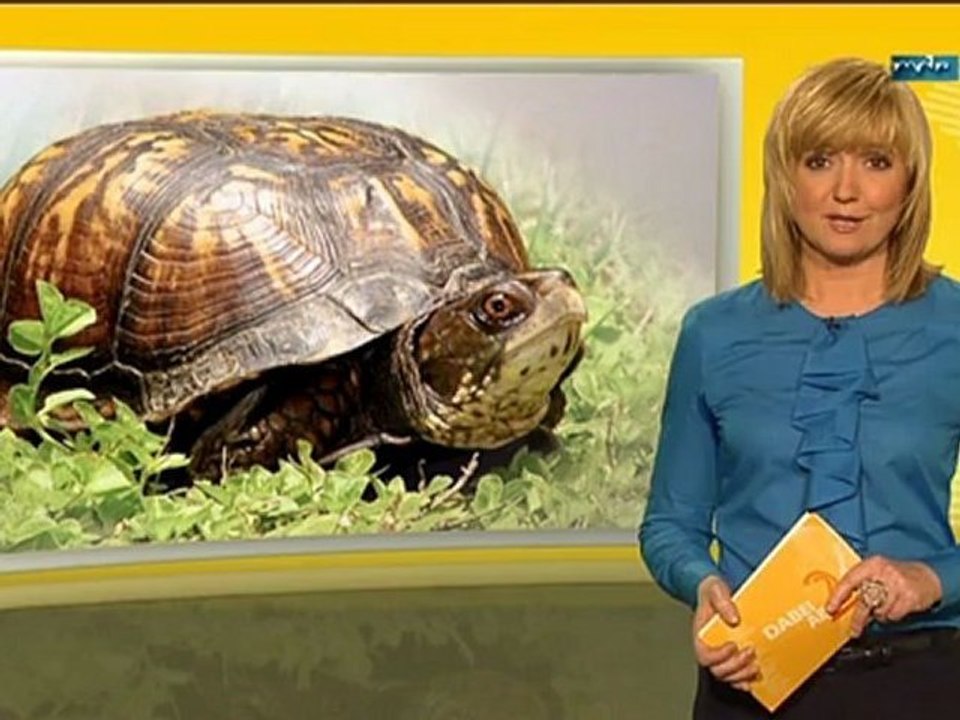 Anja Koebel  10.04.2012