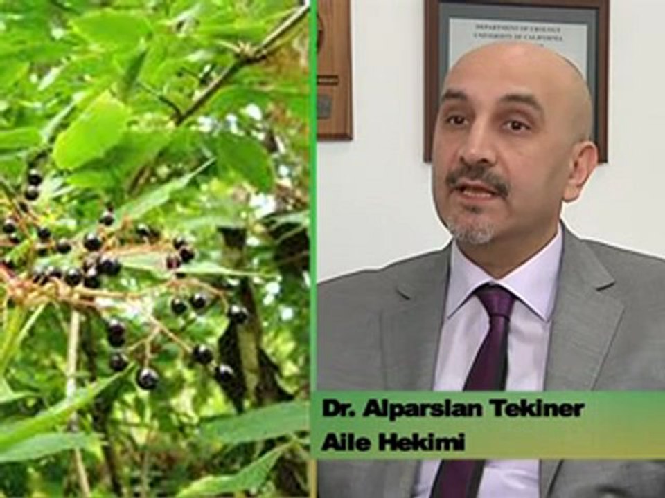Bahar Hastalıklarından Korunmak Mümkün Mü? - Dr. Alparslan Tekiner