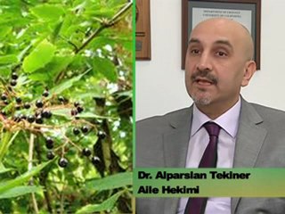 Bahar Hastalıklarından Korunmak Mümkün Mü? - Dr. Alparslan Tekiner