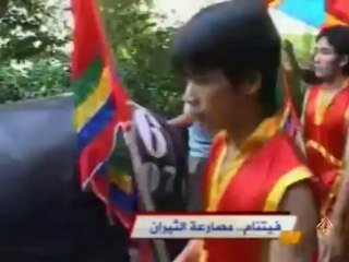 مصارعة الثيران في فيتنام