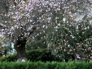 Making-of du court-métrage NOUS