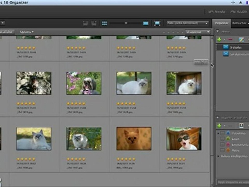 Adobe Photoshop Elements 10 : Donner une note à des photos