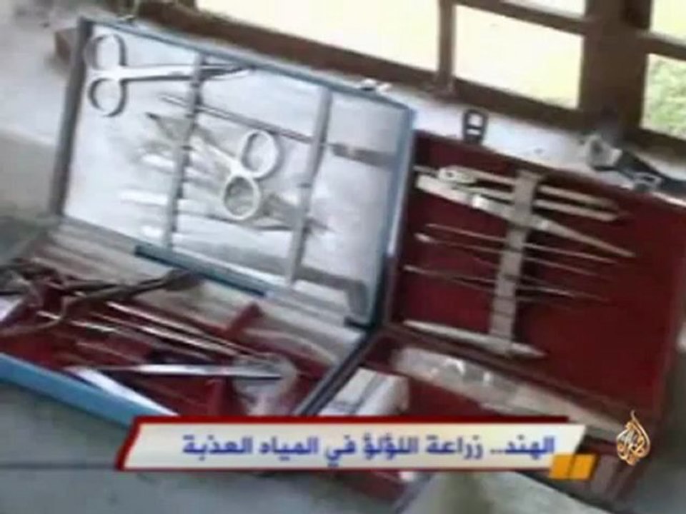الهند.. زراعة اللؤلؤ في المياه العذبة