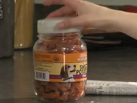 Protect your dog from fleas and ticks using monthly topical protection