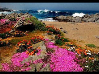 İshak Çerçi ve Yaşama Sevinci