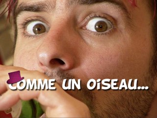 Comme un oiseau sur sa branche - Ah Bah Chapeau #04 - LanguedePub