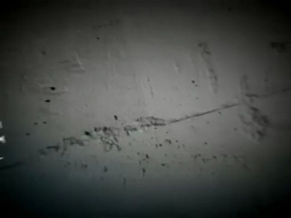 FREE-SAMI-3