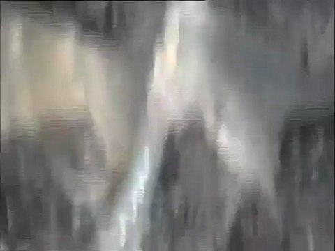 Examen des biomasses du filtre à charbon activé de la CGE (Auvers-sur-Oise) : observation des vers