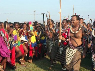 Swazi opposition struggles despite wave of protest