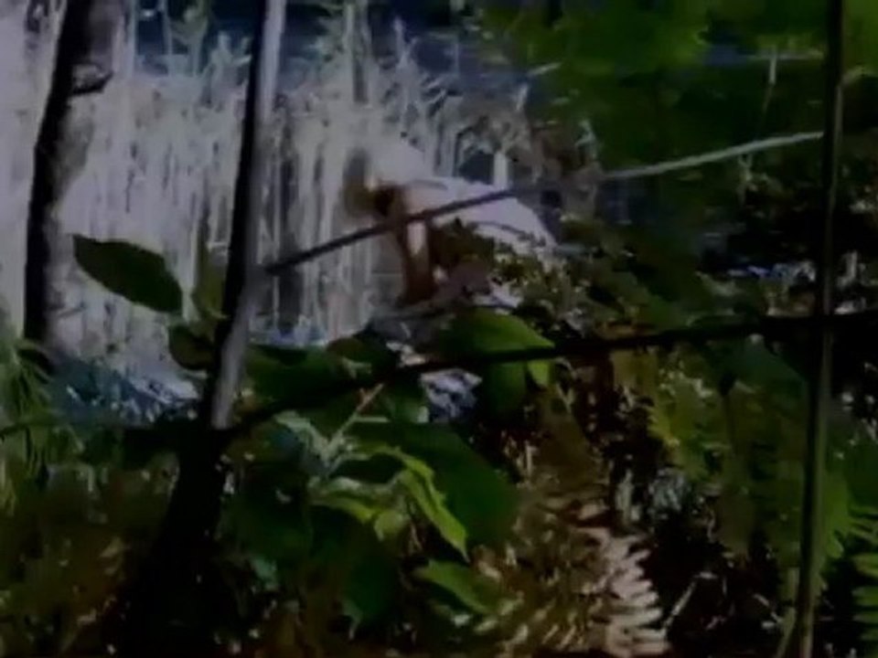 Reflections - Trailer