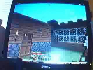 présentation du jeu : minecraft