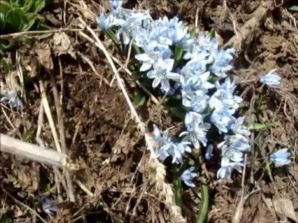 ÖZLÜCE KÖYÜ (07.04.2012)