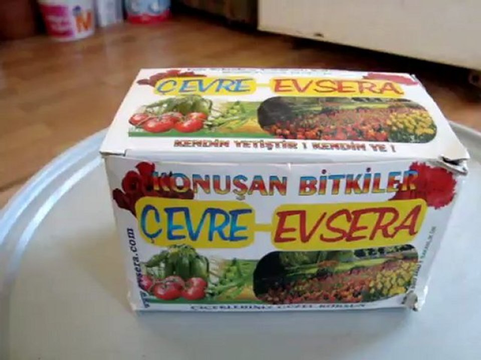 Evsera akıllı saksı