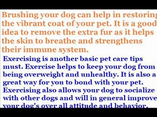 Pets Care Tips Guide 2012