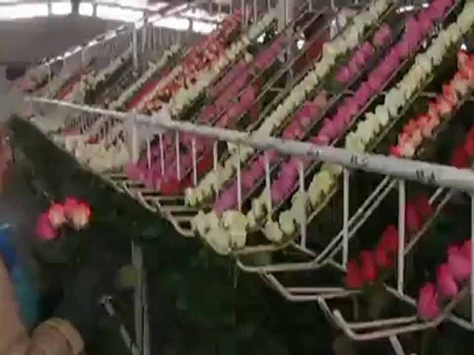 Colombia - Rising from civil war | Made in Germany