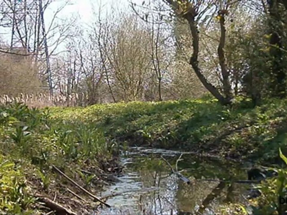 bucolique - version - 1