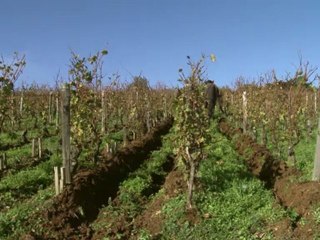 Bande-Annonce «la clef des terroirs»