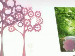 Philosophical Musings on How to Be Happy || Happiness is...