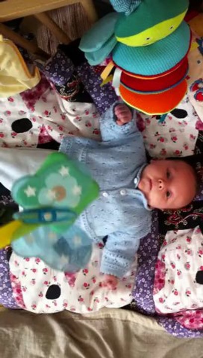 Charlie 13.04.2012