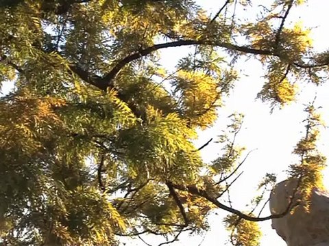 Exercices 2011-2012, par Escola Passos Manuel (11-16 ans), Lisbonne