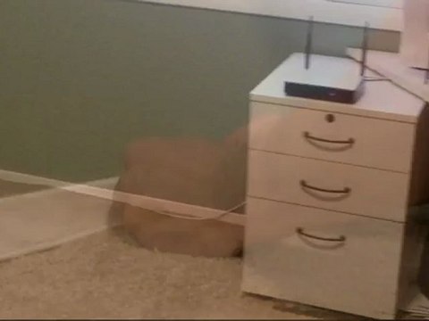 High Speed DSL Modem Installation - Pro Tech DSL Cord for Phone Jack To Modem Setup