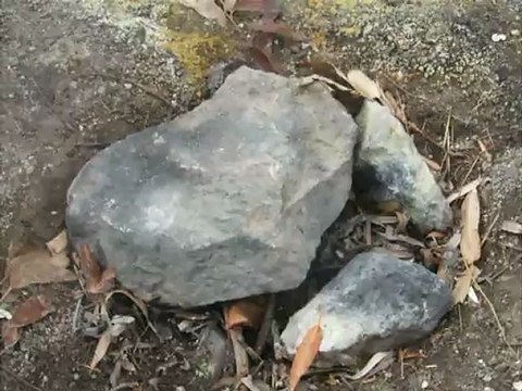 Boiling Hot Spring in Rotorua NZ