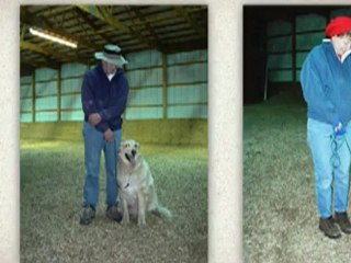 Dialogue Dog Training the Path to Good Dog Behavior
