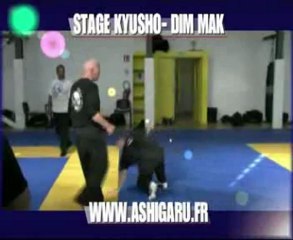 stage Kyusho / Dim Mak