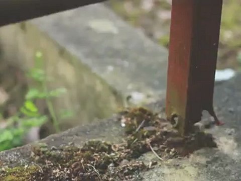 VERNOISxPETIT - SOSH URBAN MOTION - CONTEST AMATEUR