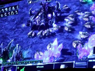 Stephano éliminé des IPL par MMA