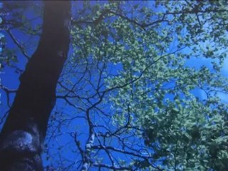 seigi_no_mikata_-_04_part_1