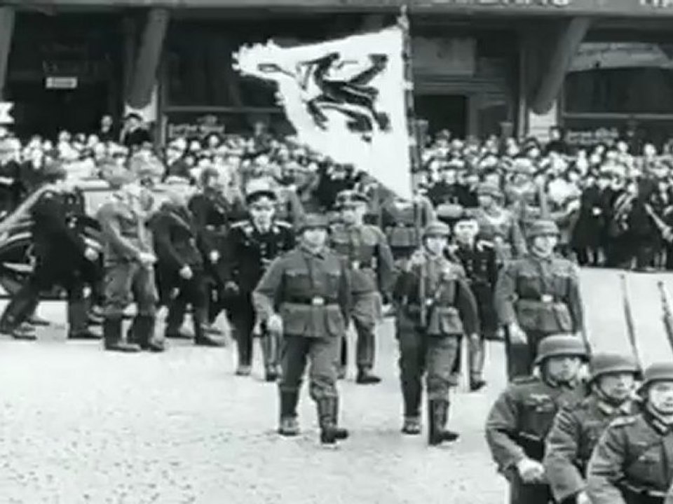 La Waffen SS - Les Combattants de l'Ordre Noir