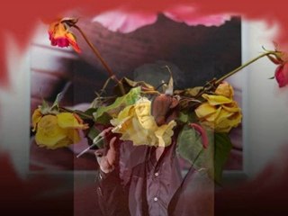 ELLE S'EN VA DE MOI MICHEL SARDOU