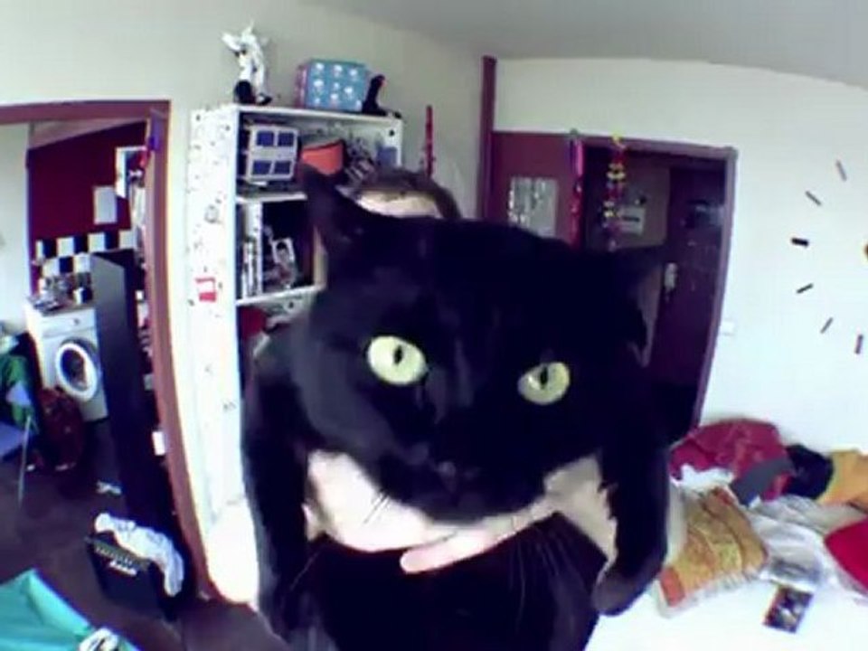 Samedi dit bonjour !