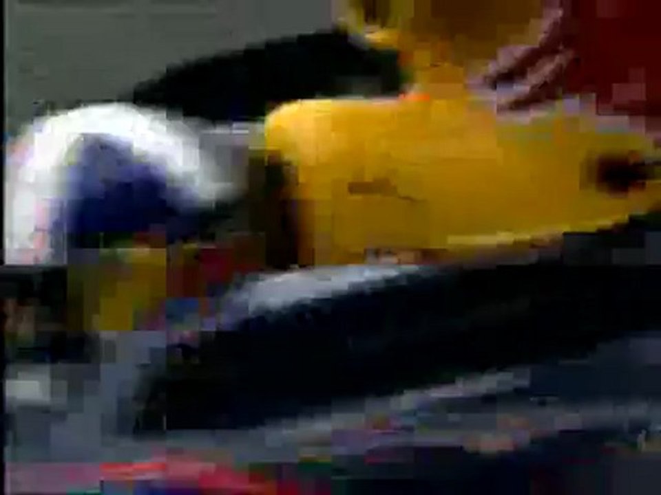 Presentación Red Bull