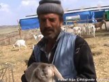 Yusuf Ağa Çiftliğinde Çobanlar Korosu